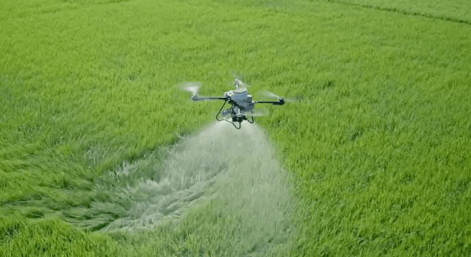 Foto: T20P DJI Agras Intelligent Cloud