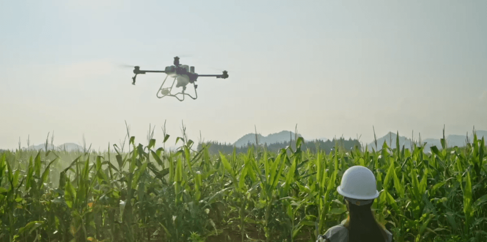 Foto: Controle Completo em Nuvem - DOCK