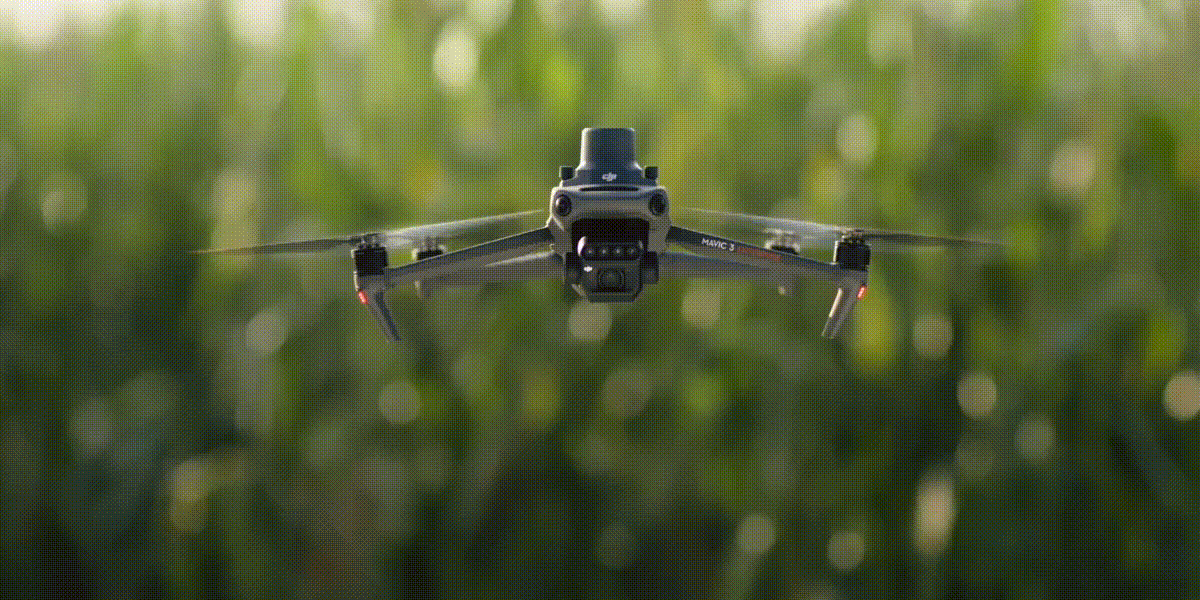 Foto: T20P DJI Agras Intelligent Cloud